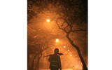 Nét đẹp phụ nữ Việt Nam qua 
